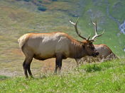 Rocky Mountain National park