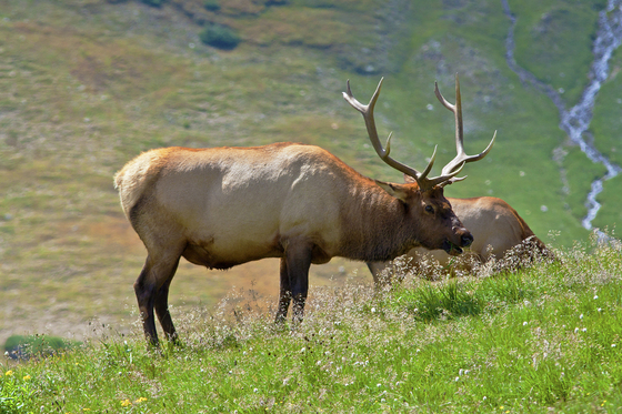 Rocky Mountain National park
