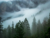 Yosemite National Park