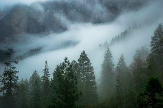 Yosemite National Park