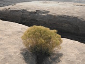 Canyonlands National Park