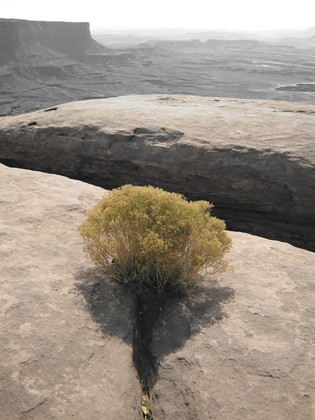 Canyonlands National Park