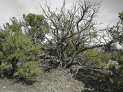 Canyonlands National Park