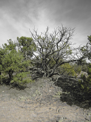 Canyonlands National Park