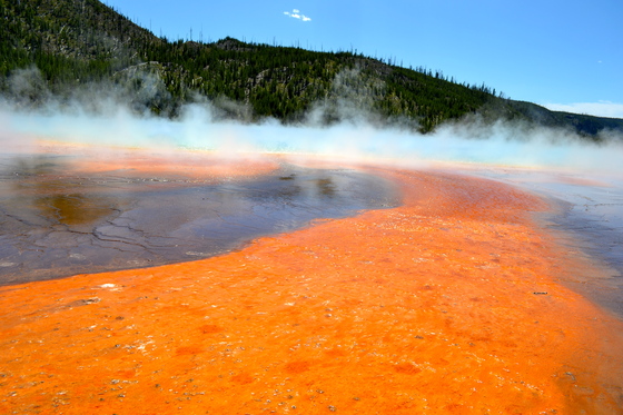 Yellowstone National Park
