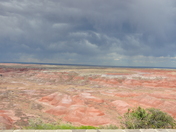 Petrified Forest National  Park