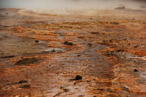 Yellowstone National Park