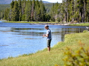 Yellowstone National Paark