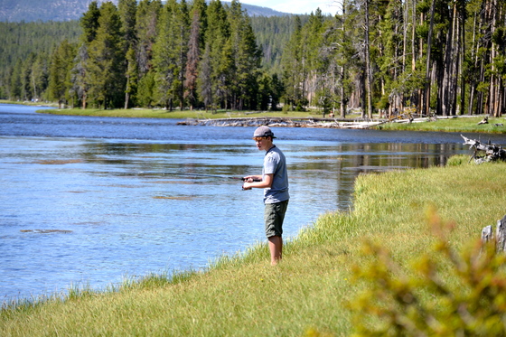Yellowstone National Paark