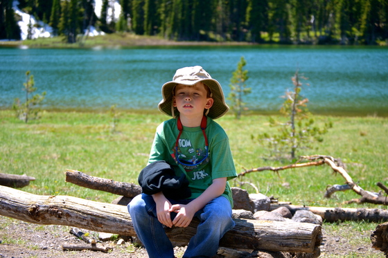 Gallatin National Forest