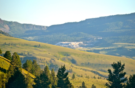 Gallatin National Forest/ Yellowstone National Park