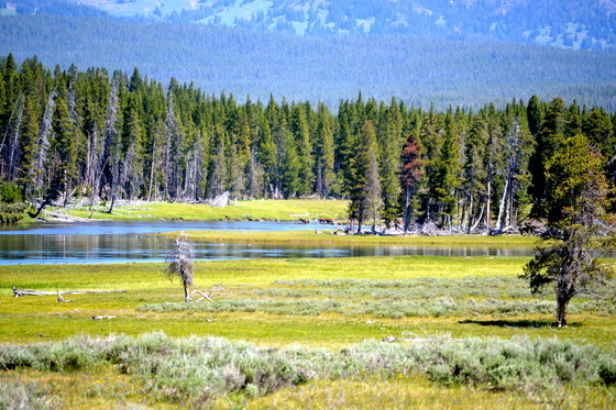 Yellowstone National Park