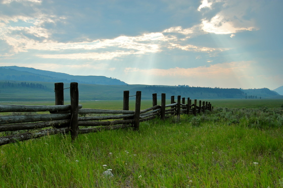 Yellowstone National Park