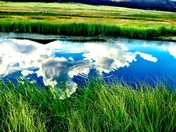 Valles Caldera National Preserve