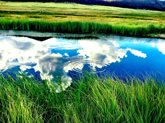 Valles Caldera National Preserve