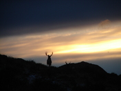 Bridger-Teton National Forest