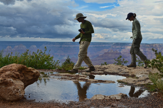 Grand Canyon National Park 
