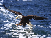 Glacier Bay National Park