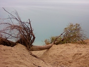Sleeping Bear Dunes, MI