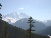 Mt Rainier
