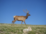 Rocky Mountain National Park Co.