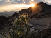 Rocky Mountain National Park
