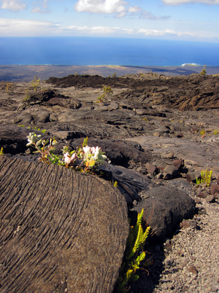 Hawaii Volcanoes National Park