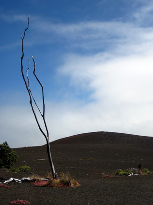 Hawaii Volcanoes National Park