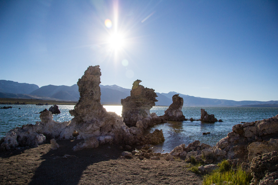 Mono Lake/Mono Basin National Forest