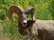 Dinosaur National Park