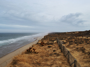 Cape Cod National Seashore