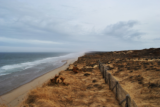 Cape Cod National Seashore