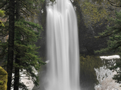 Willamette National Forest 