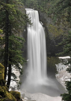 Willamette National Forest 