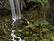 Umpqua National Forest