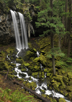 Umpqua National Forest