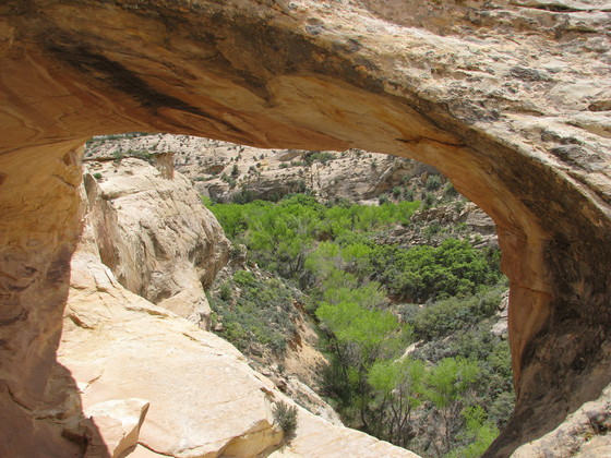 Butler Wash Ruin