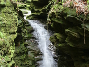 Shawnee National Forest