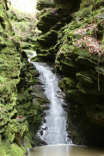 Shawnee National Forest