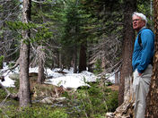 Yosemite National Park