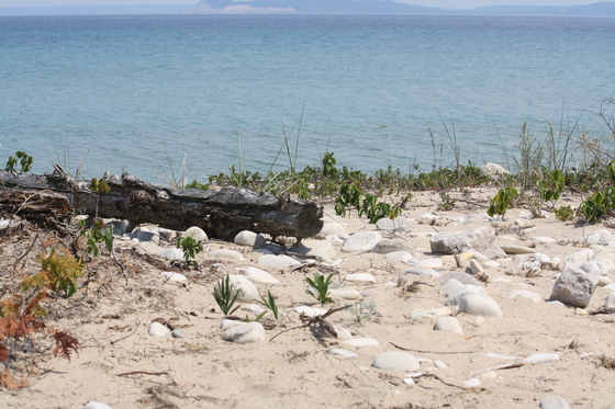 South Manitou Island/ Sleeping Bear Dunes
