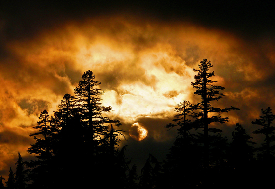 Klamath National Forest