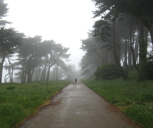 Golden Gate National Recreation Area