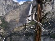 Yosemite National Park