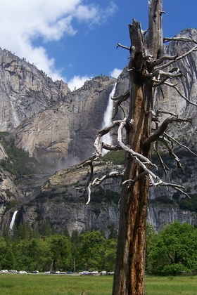 Yosemite National Park