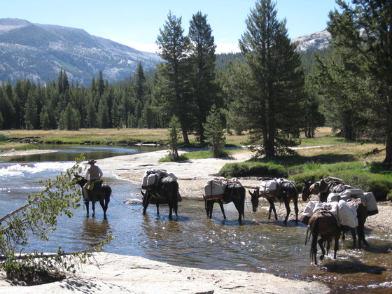 Yosemite National Park