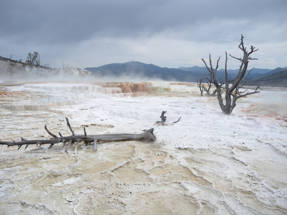 Yellowstone 