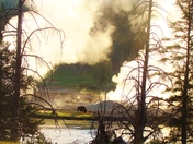 Yellowstone Mational park