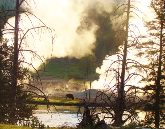 Yellowstone Mational park