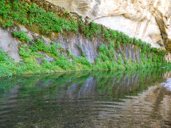 West Clear Creek